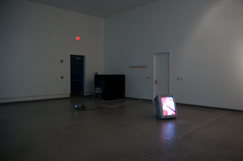 Reduced to Insults Installation View