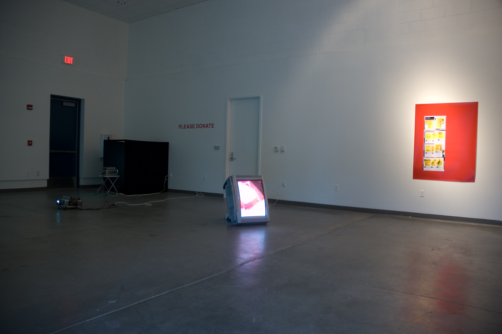 Reduced to Insults Installation View