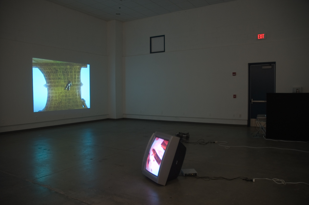Reduced to Insults Installation View