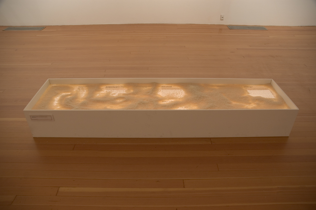 Disappeared in America Installation View