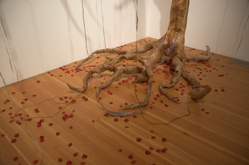Disappeared in America Installation View