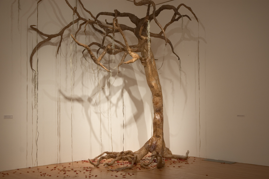 Disappeared in America Installation View