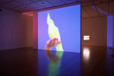 Victoria Fu, Cult of Splendor, 2014, installation view, photo by Elan Greenwald ©UCI UAG