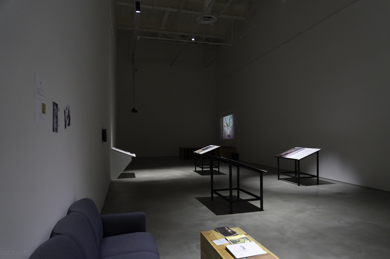 K8 Hardy - New Cuts installation view © 2015 UCI UAG