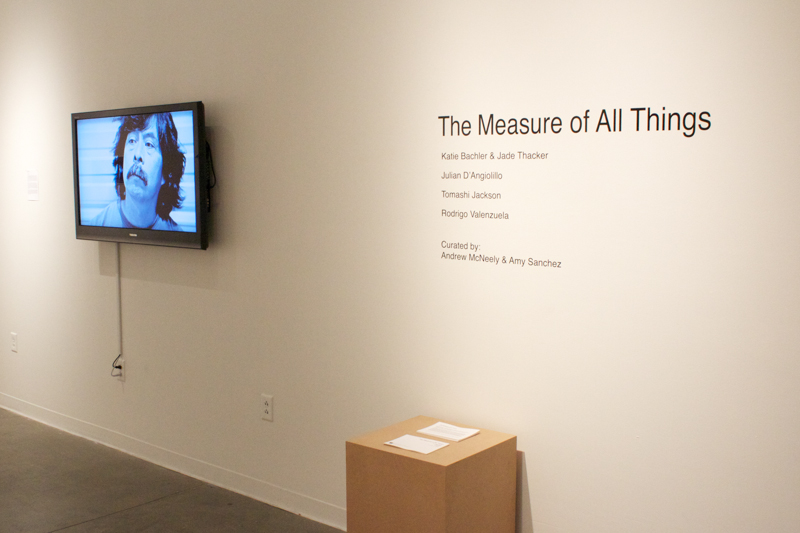 installation view, The Measure of All Things, 2014, photo Andrew McNeely