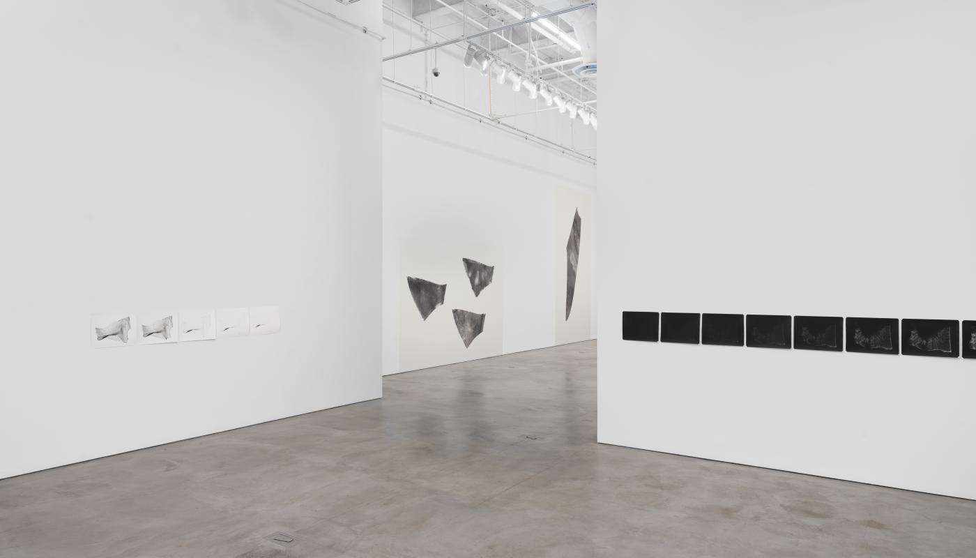 Gintautė Skvernytė, Installation shots of "Switch", Contemporary Arts Center Gallery, UC Irvine, 202