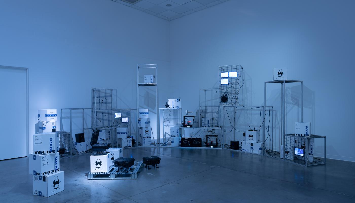 Devin Wilson, Installation shots of "The Pigeon has Landed", Room Gallery, UC Irvine, 2024. Photo by
