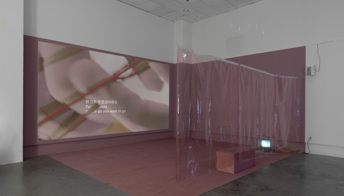 Laura Li, Yes, there will also be singing: MFA 2nd Year Exhibition, Installation View, Room Gallery,
