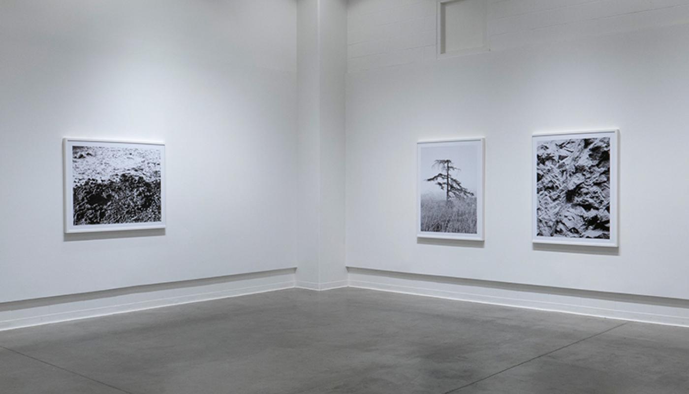 Joaquin Palting, “Origin[Redux],” installation view, Room Gallery, UC Irvine © 2020. Photo: Paul Salveson