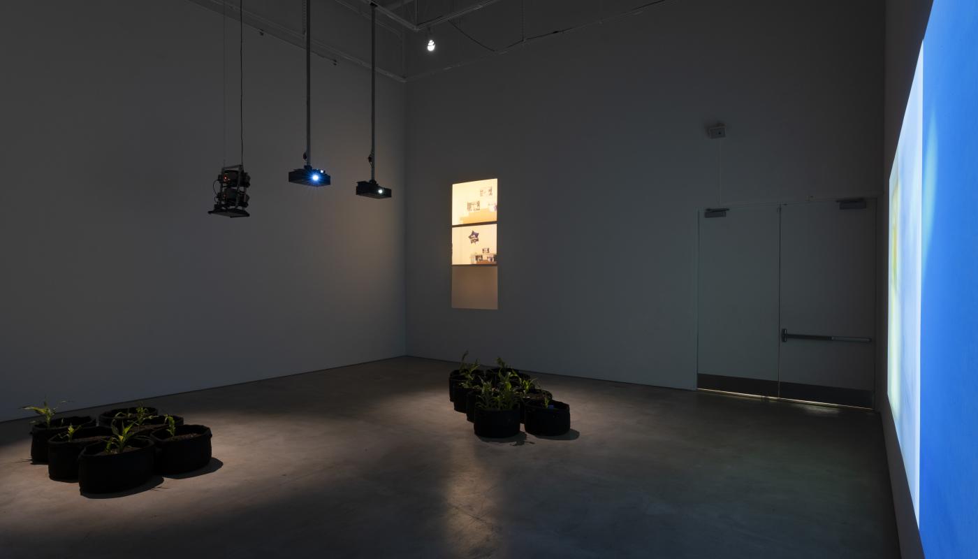 Stephen Rivas, Installation shots of "La Cosecha", Contemporary Arts Center Gallery, UC Irvine, 2023