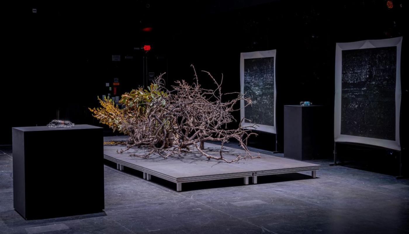 Towards a Raw Materialism, installation view, Experimental Media Performance Lab (xMPL). © 2021 Art 