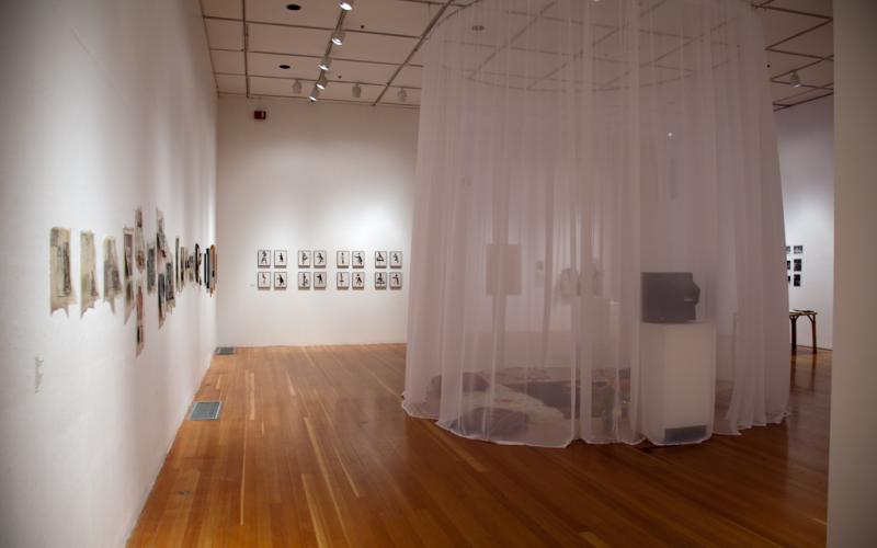 The Radicalization of a 50's Housewife Installation View